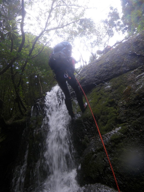 d0006512_0355670.jpg