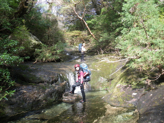 d0006512_08466.jpg