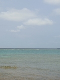 f0142821_22591846.jpg