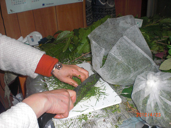 f0205122_12185570.jpg