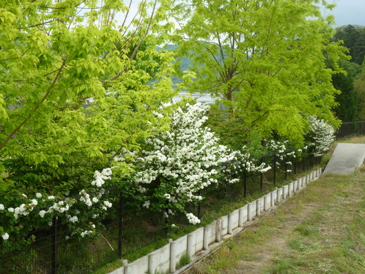 a0228333_23484984.jpg