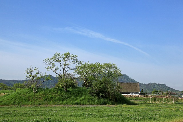 a0242438_18131249.jpg