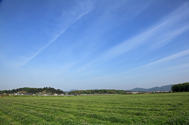 a0242438_18133580.jpg
