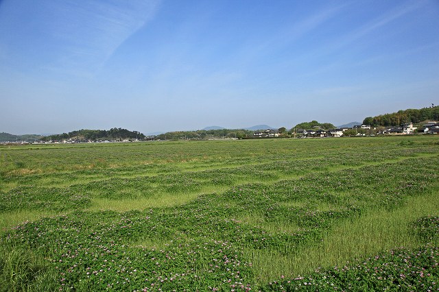 a0242438_181406.jpg