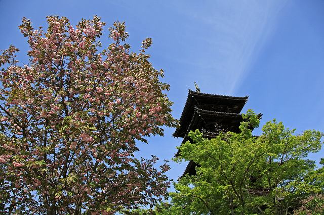 a0242438_18144214.jpg