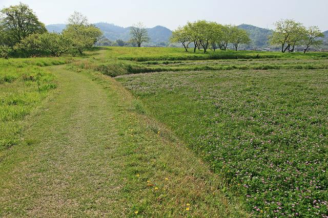 a0242438_1815921.jpg
