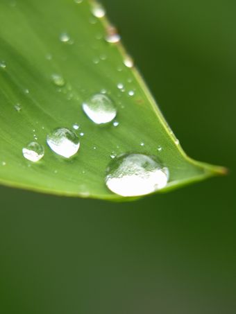c0148238_1544530.jpg
