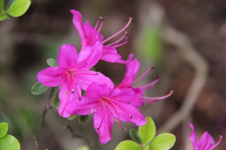 c0153740_17303270.jpg