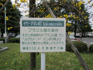 e0110940_04119100.jpg
