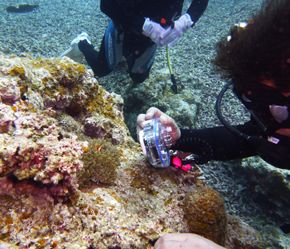 f0014842_2057185.jpg