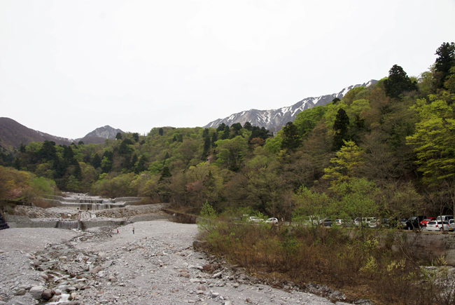 f0214649_6544116.jpg