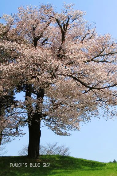 c0145250_12163172.jpg