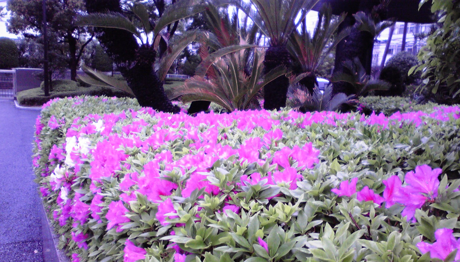 f0057955_21405875.jpg