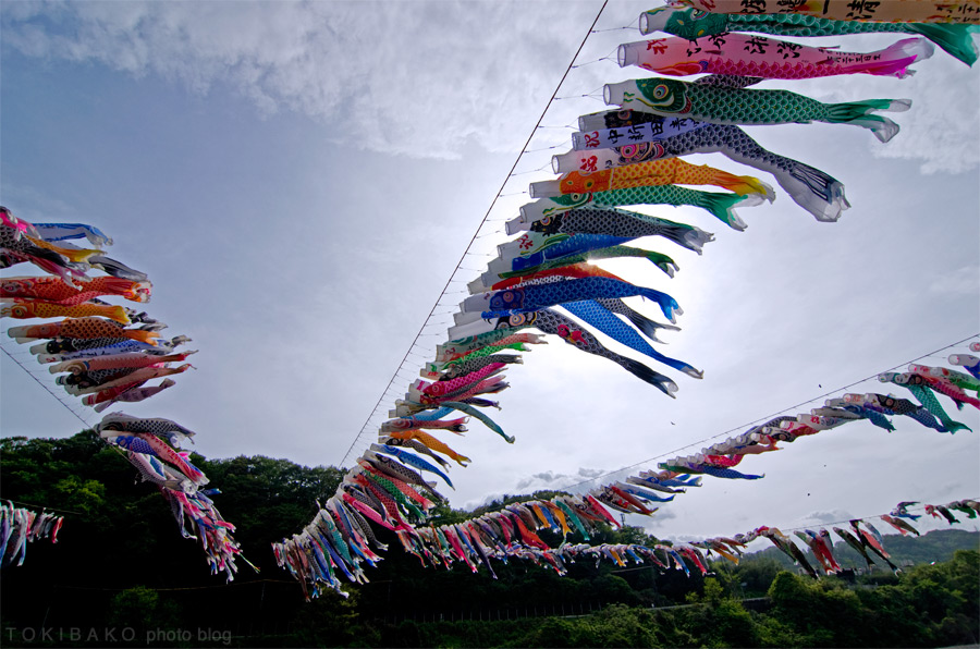 d0100156_1164639.jpg