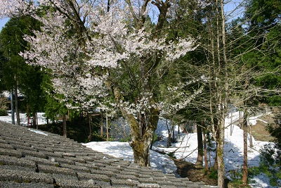 b0079965_6131017.jpg