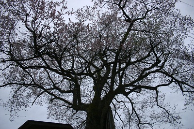 b0079965_6365386.jpg