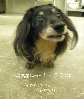 b0249672_17342136.jpg