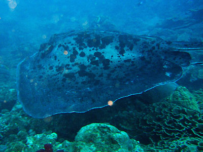 b0033573_2217172.jpg