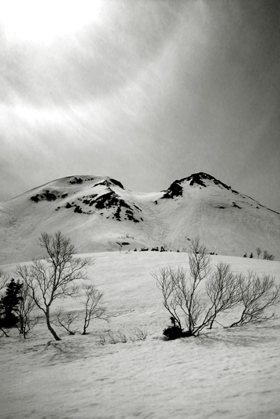 c0087773_21455392.jpg