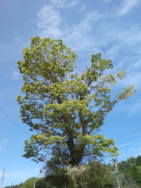 d0182179_19281921.jpg