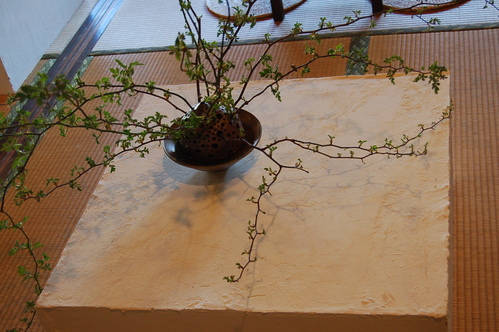 c0155980_13122985.jpg