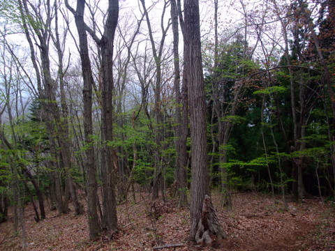 a0043982_20105945.jpg
