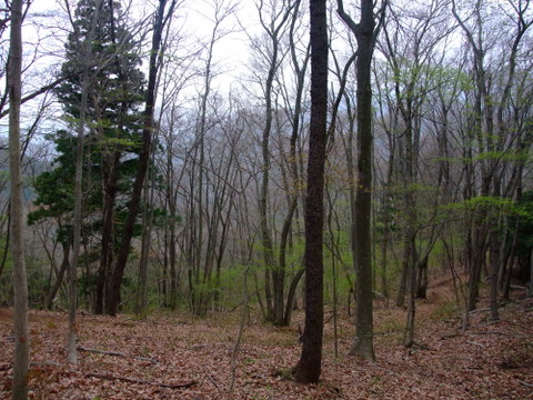 a0043982_20113212.jpg