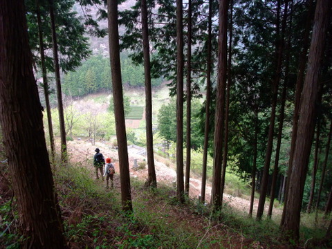 a0043982_2094335.jpg