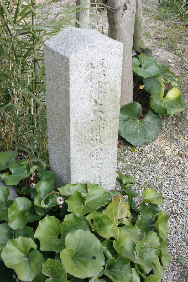 b0118987_17183059.jpg
