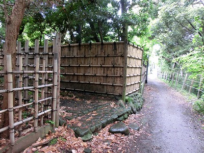 e0123587_2020010.jpg