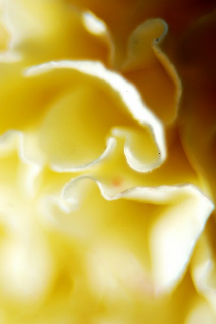 c0246290_17172420.jpg