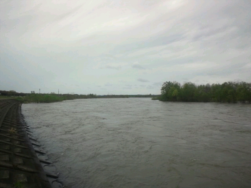 b0207491_10152097.jpg