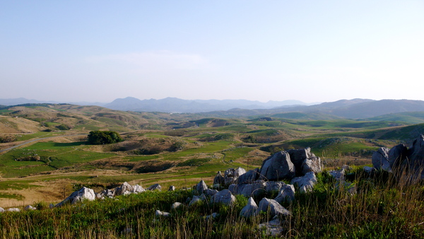 c0190391_6573298.jpg