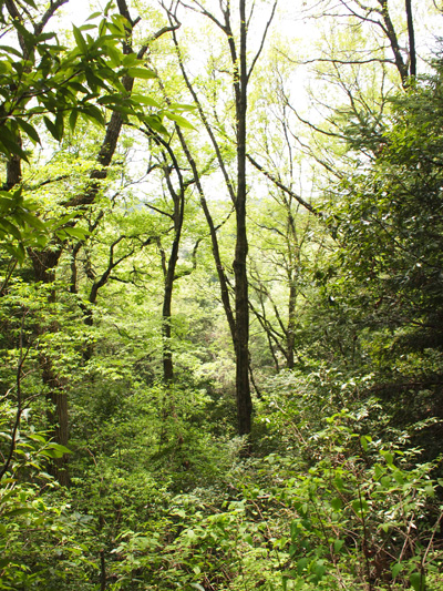 d0143891_21422069.jpg