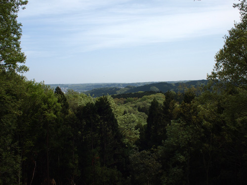 d0143891_21432346.jpg