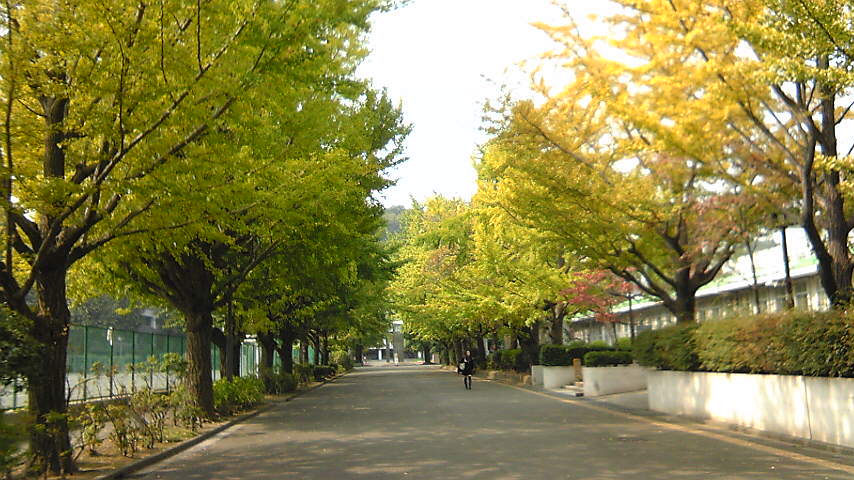 e0277291_20191112.jpg