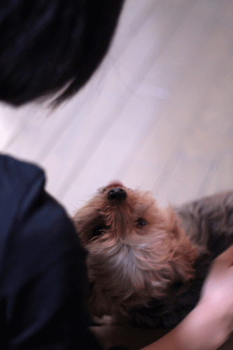f0128096_20385959.gif