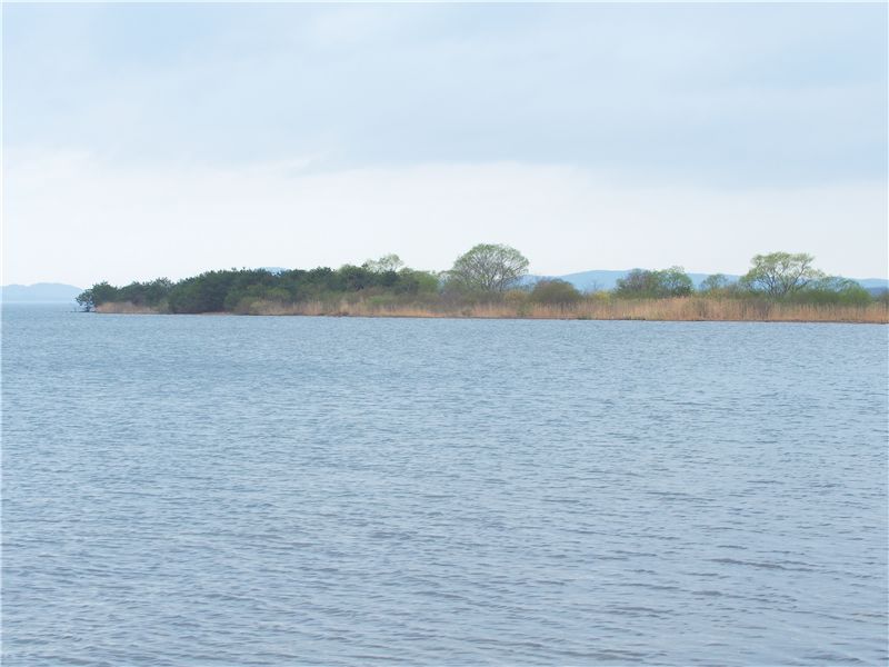 f0224100_11311064.jpg
