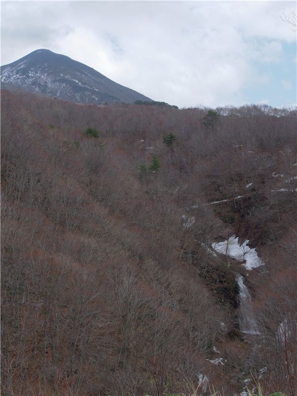 f0224100_1540488.jpg