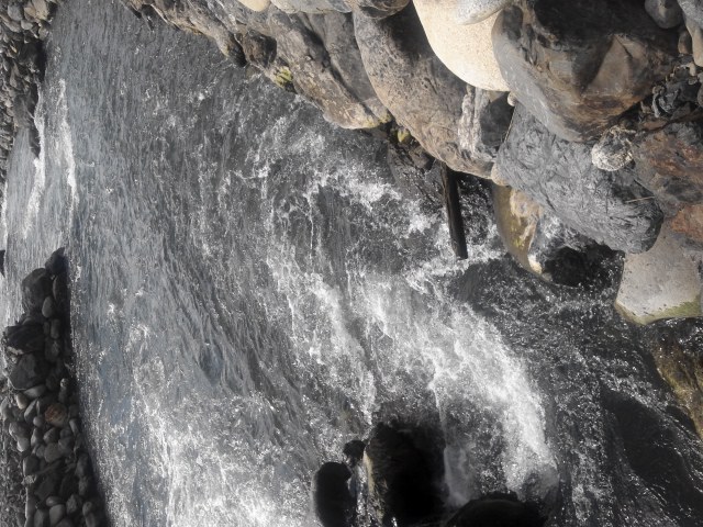 a0121502_10201946.jpg