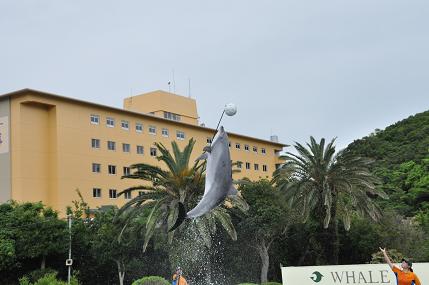 e0109702_18291336.jpg