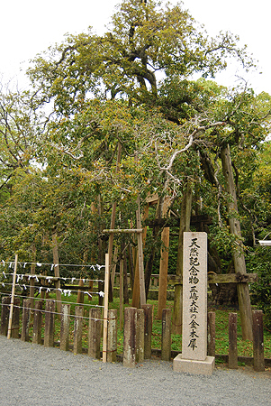 d0113613_14441254.jpg
