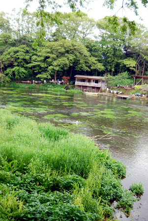 d0113613_15211334.jpg