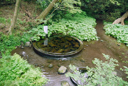 d0113613_15213389.jpg