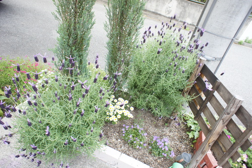 d0220513_12533455.jpg