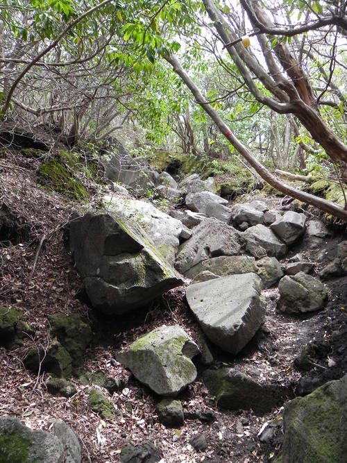 e0238313_236948.jpg