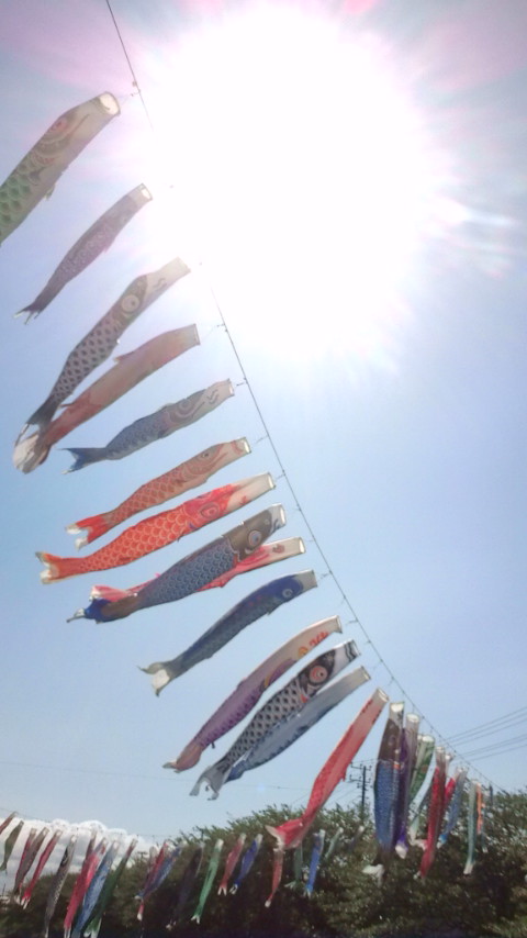 e0138314_1027469.jpg