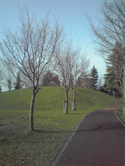 f0192117_5143627.jpg
