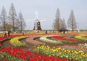 a0053420_14271282.jpg