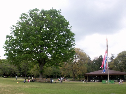 a0053420_1665540.jpg